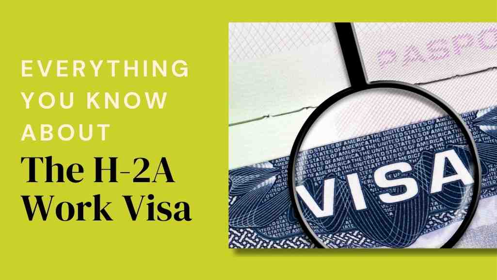 H-2A Work Visa